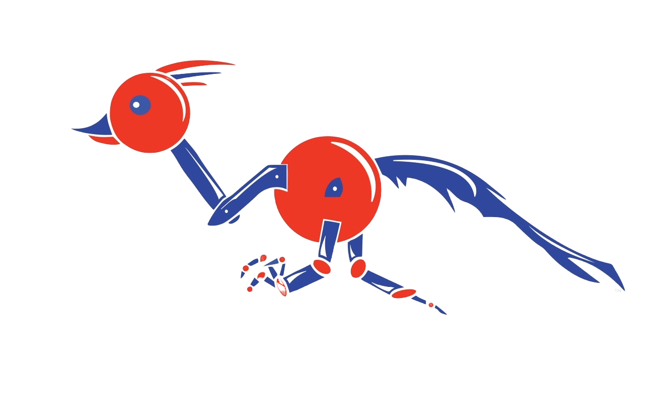 Team 2468 Logo